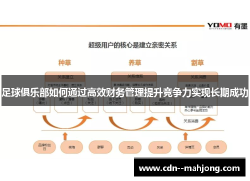足球俱乐部如何通过高效财务管理提升竞争力实现长期成功 足球俱乐部如何通过高效财务管理提升竞争力实现长期成功