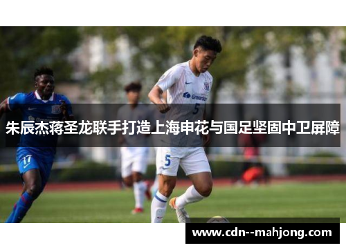 朱辰杰蒋圣龙联手打造上海申花与国足坚固中卫屏障