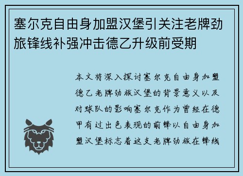 塞尔克自由身加盟汉堡引关注老牌劲旅锋线补强冲击德乙升级前受期 塞尔克自由身加盟汉堡引关注老牌劲旅锋线补强冲击德乙升级前受期